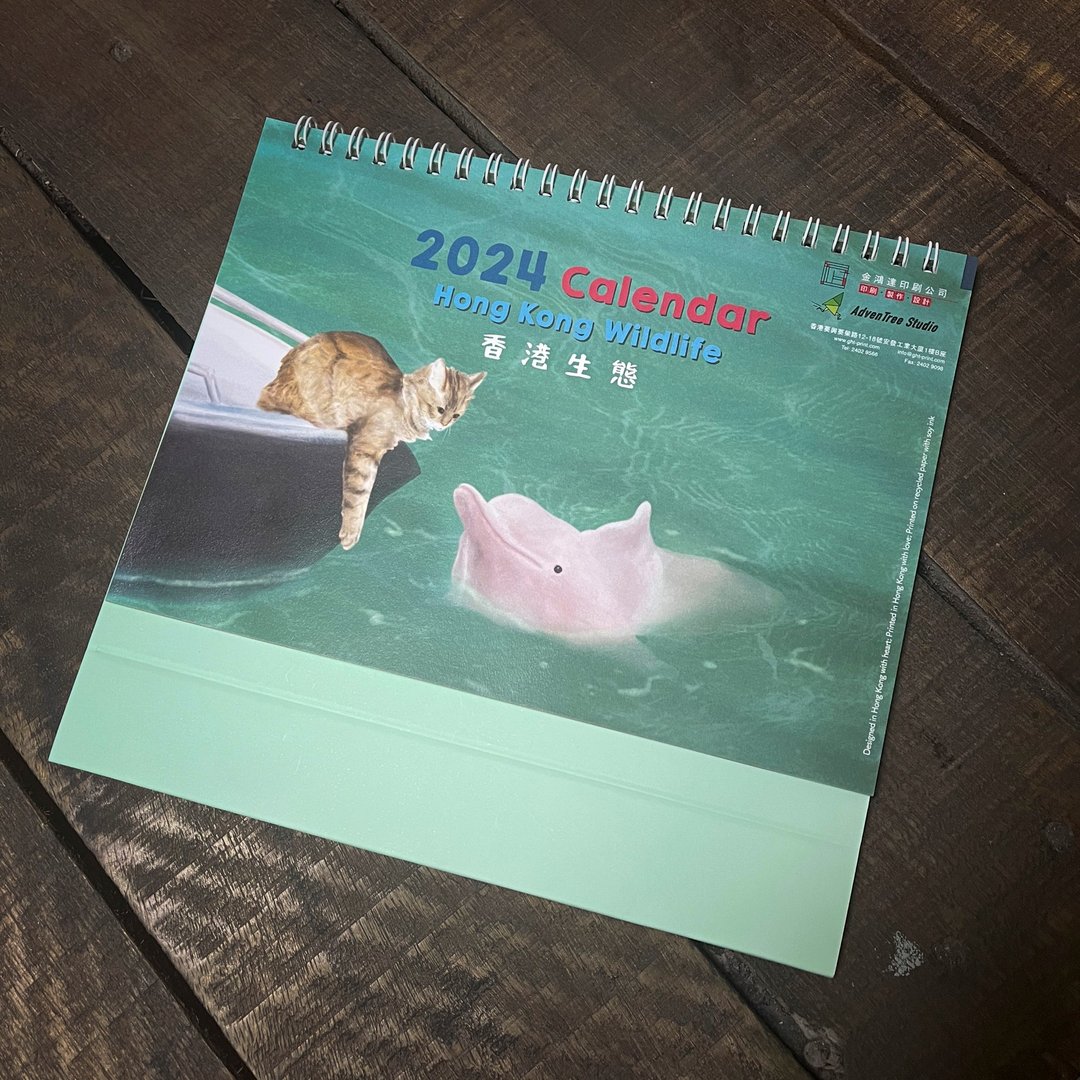 2024 香港生态 | 猫咪与野生动物 水彩风 插画月历 - 年历/台历 - 纸 