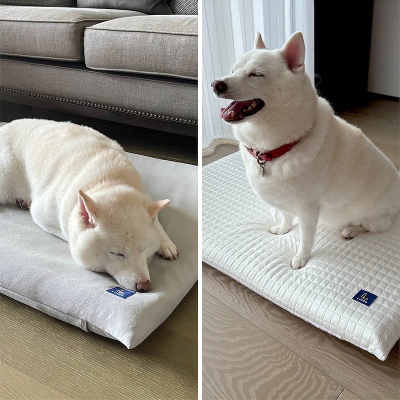 【高密度泡棉】宠物睡垫 - 床垫/笼子 - 聚酯纤维 灰色