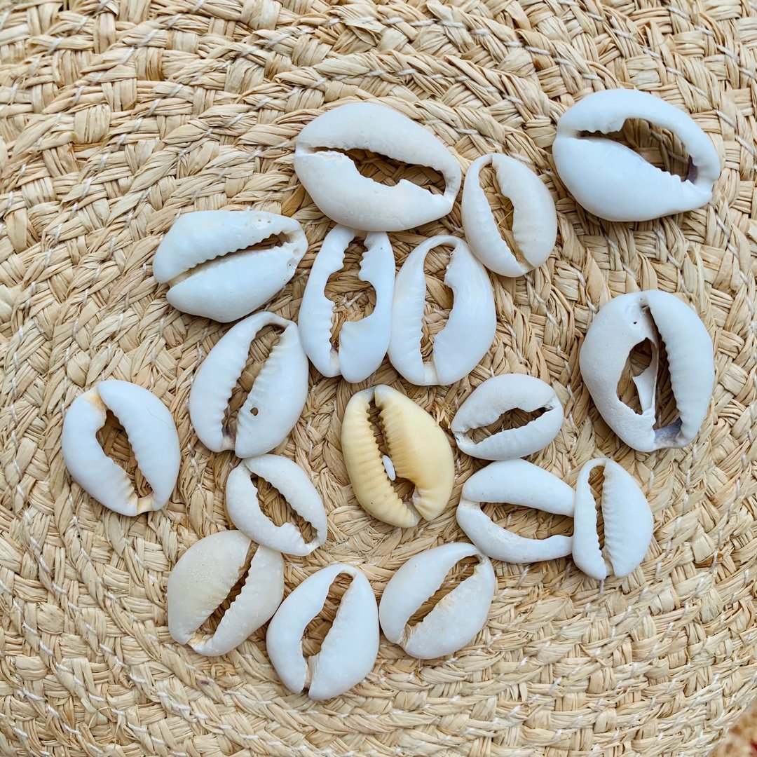 补运费商品 - 加购贝壳 - 非实体商品 - 其他材质 