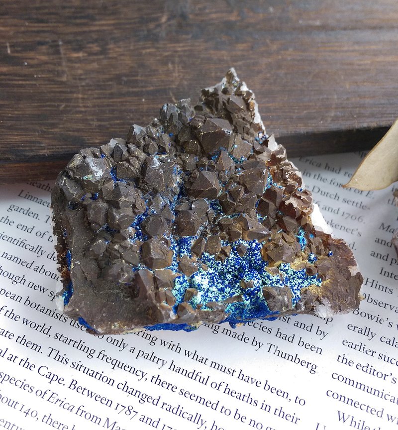 Azurite  缅甸产地 蓝铜矿  黑水晶共生矿 天然矿石 原矿 - 摆饰 - 其他材质 