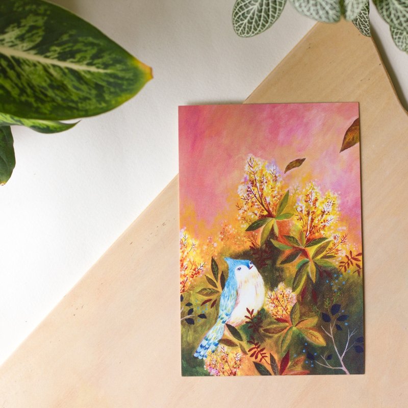 蓝色小鸟儿的等待 明信片 - 卡片/明信片 - 纸 粉红色