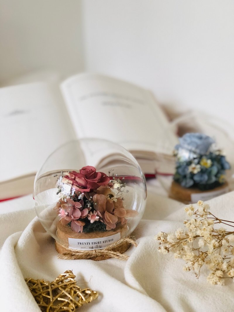 迷你魔法星球干燥玫瑰色 - 干燥花/捧花 - 植物．花 红色