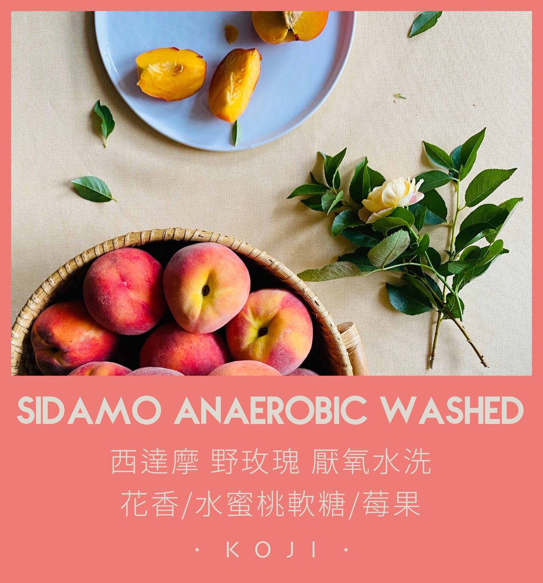 西达摩 野玫瑰 厌氧水洗 浅烘焙 咖啡豆 挂耳包 - 咖啡 - 新鲜食材 白色
