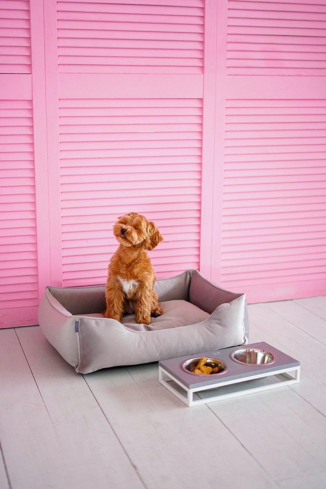 Gray bed for middle sized dog S Size 60x45 cm - 床垫/笼子 - 其他材质 银色