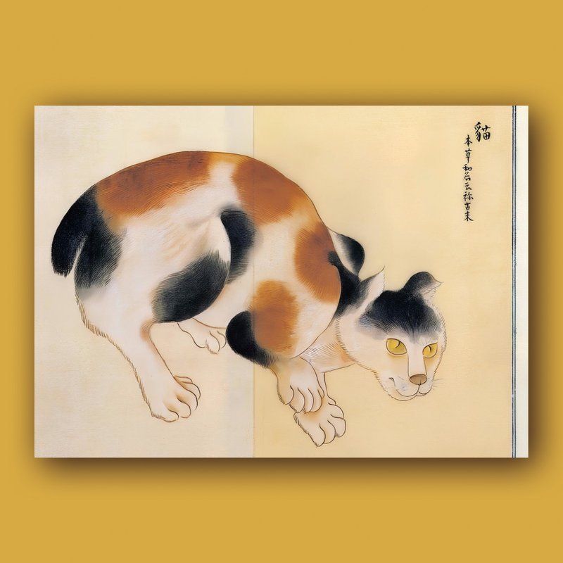 高木春山 本草図说 明信片 - 卡片/明信片 - 纸 多色