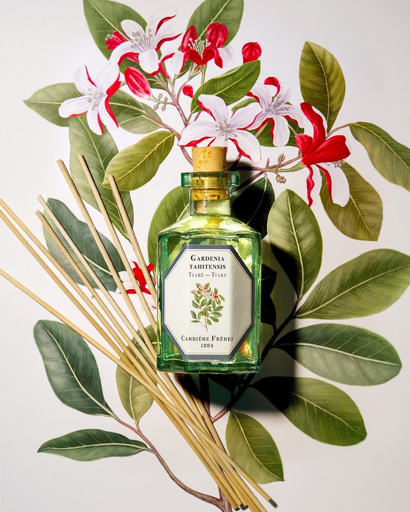 Carrière Frères 栀子花扩香瓶 - 香薰/精油/线香 - 玻璃 透明