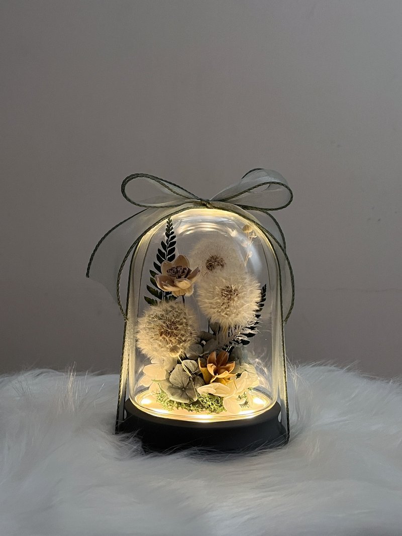 永生蒲公英玻璃钟罩夜灯拍拍感应灯 - 干燥花/捧花 - 植物．花 多色