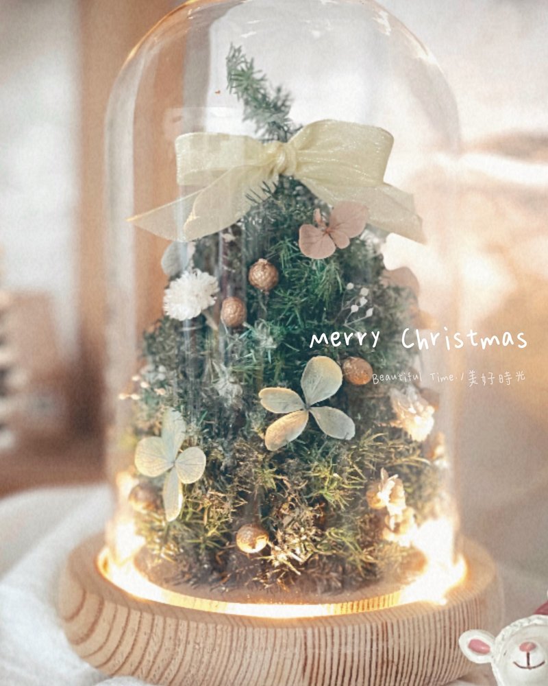 冬光穹顶 | 森光永生圣诞树玻璃小屋、精致圣诞树 - 植栽/盆栽 - 植物．花 绿色