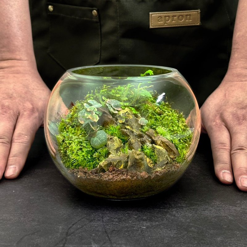 新品上市 - 恋火山丘 / 手工微景观生态盆 - 植栽/盆栽 - 植物．花 