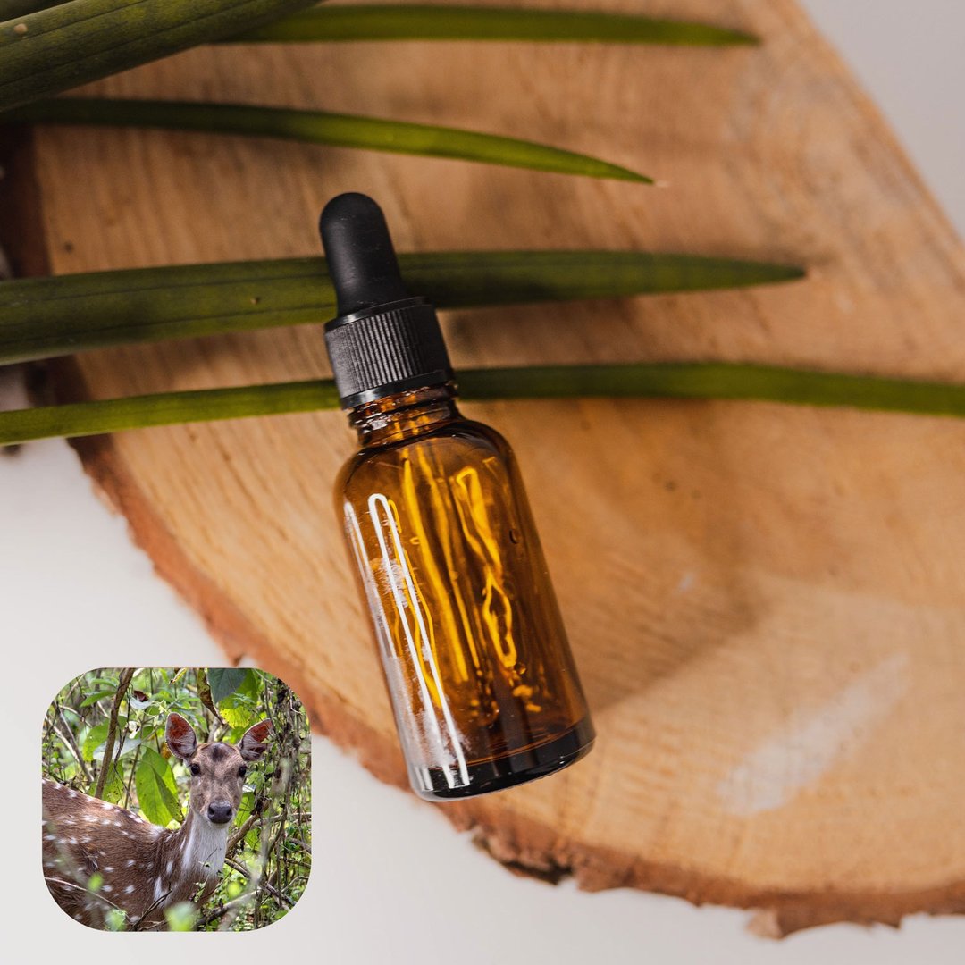 【香间小路】麝香香精油 Musk oil ( 赠送甜橙精油10ml ) - 香薰/精油/线香 - 玻璃 透明