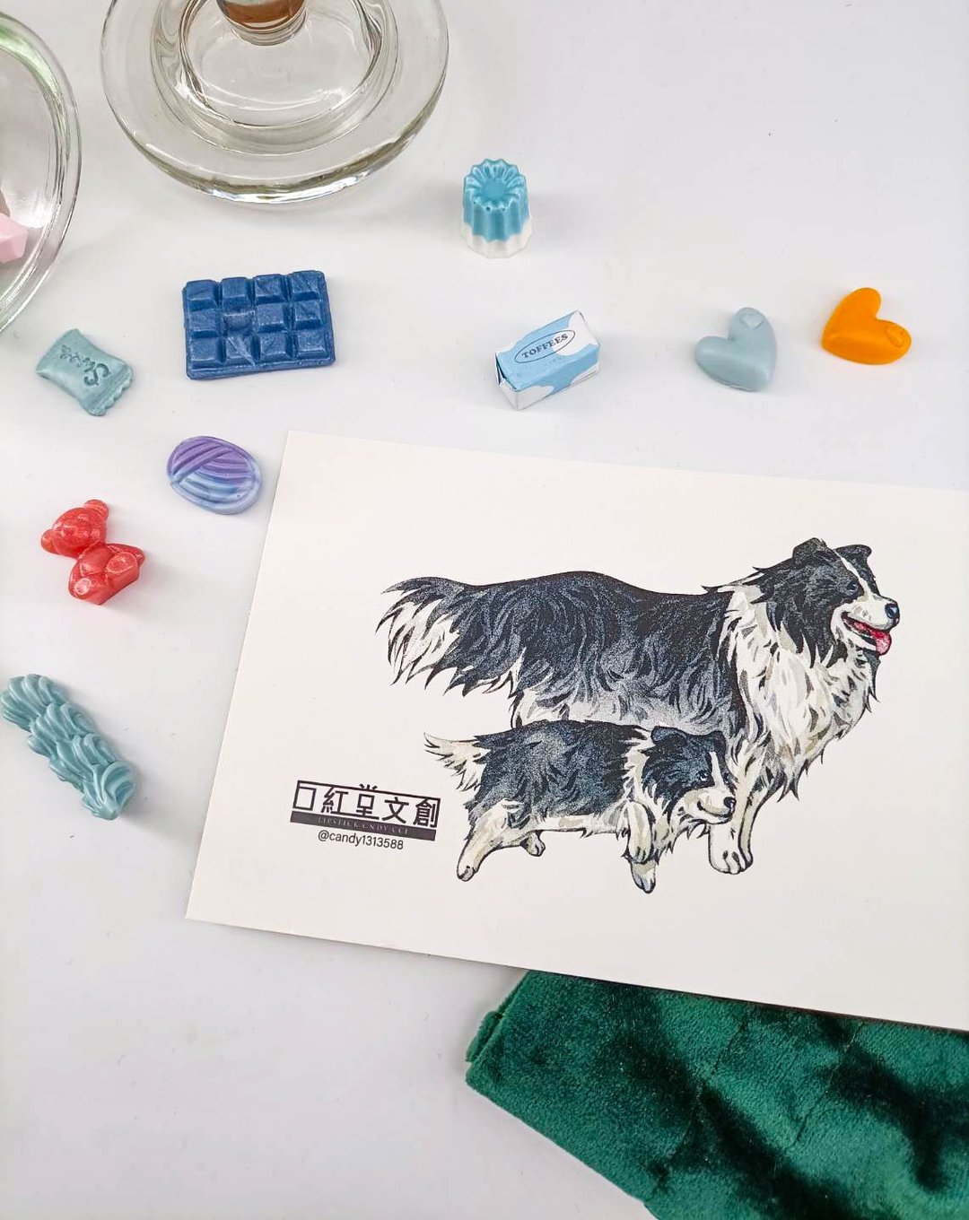 KR474_口紅堂明信片_邊境牧羊犬5_candy1313588 postcard - 卡片/明信片 - 纸 多色