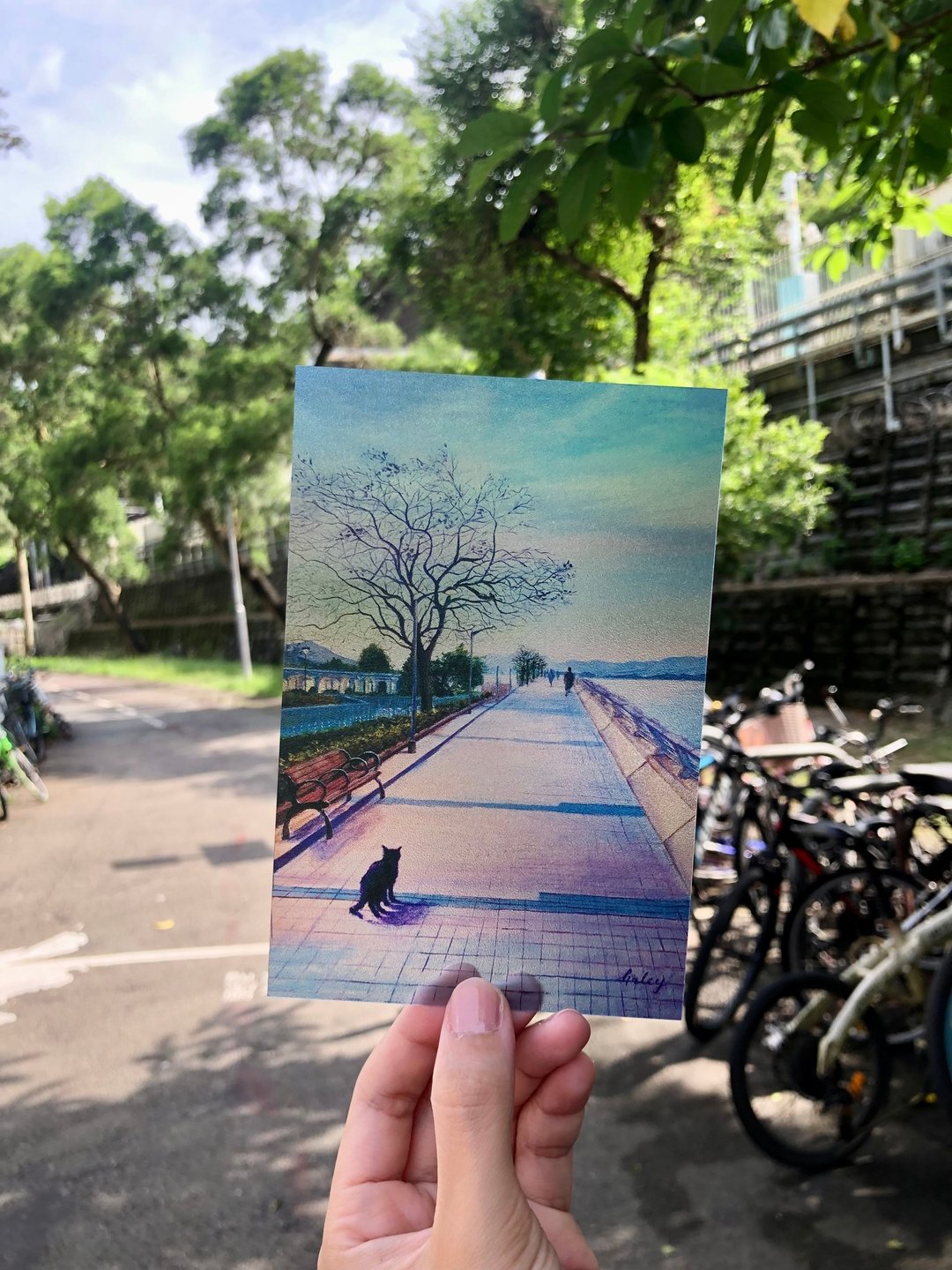 磨砂透明卡-On My Way(马鞍山海滨长廊) - 卡片/明信片 - 防水材质 多色