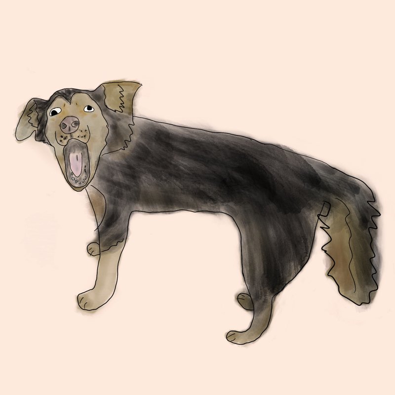 Ugly Pets 丑颜绘 - 电子手绘真人画像/绘画/插画 - 纸 