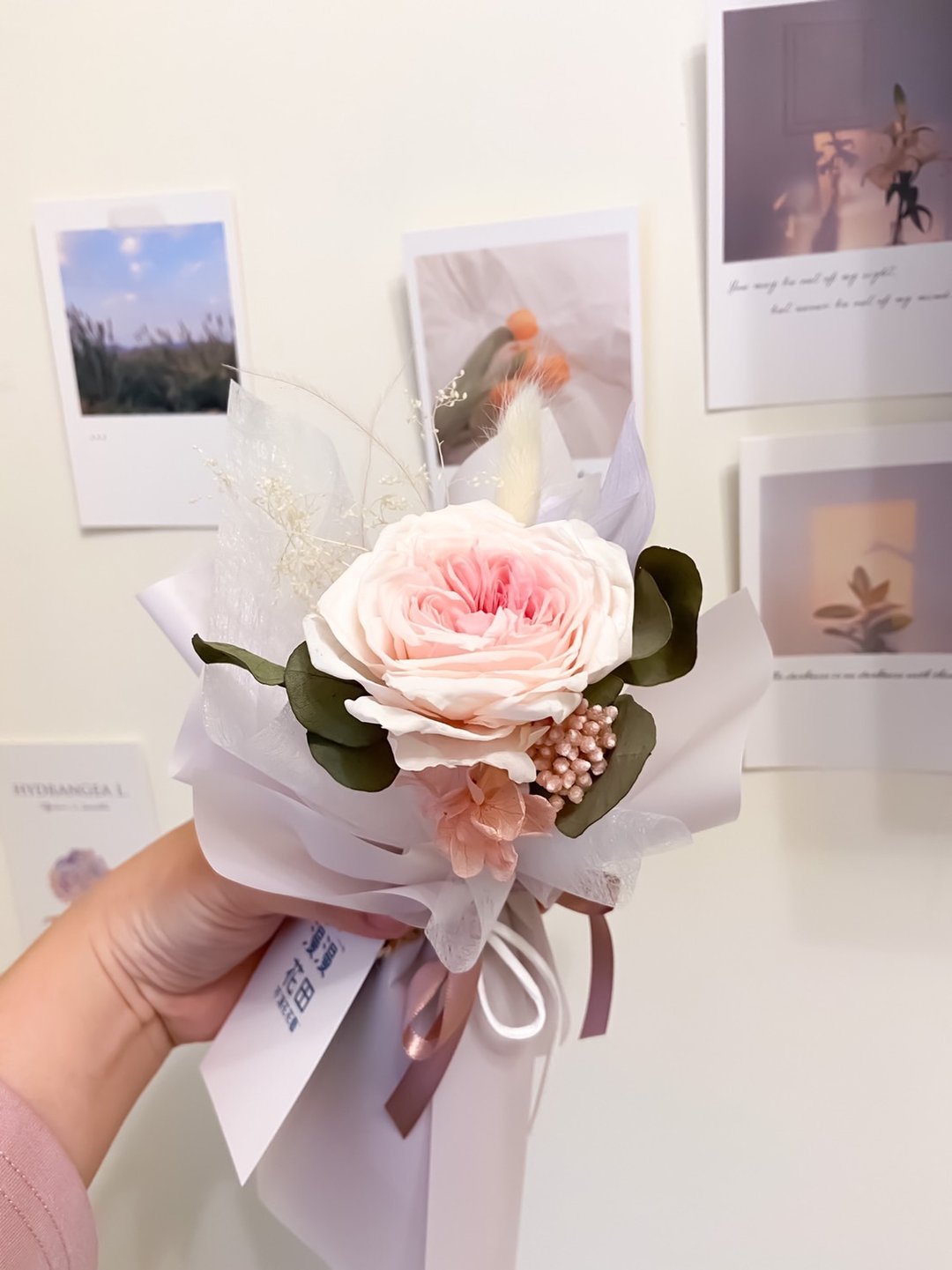 韩式渐层庭院玫瑰单朵花束 永生花  送礼 生日礼 告白 情人节  韩 - 干燥花/捧花 - 植物．花 粉红色