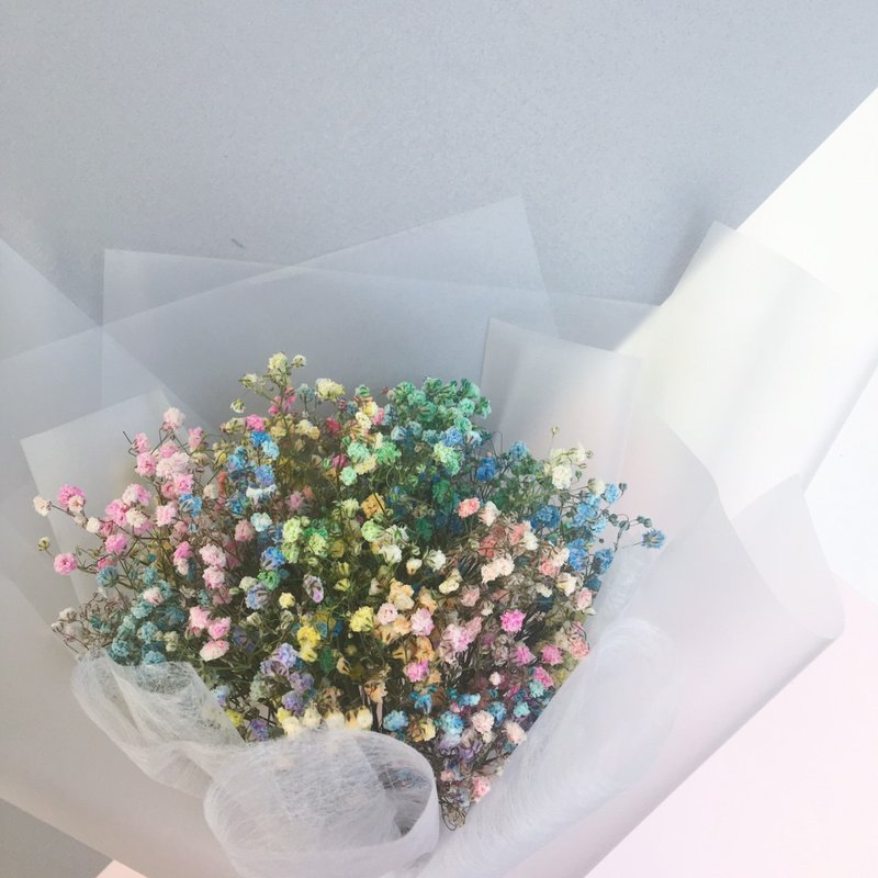 Rainbow版可干燥蓬蓬满天星花束 毕业花束 彩虹花束 - 干燥花/捧花 - 植物．花 多色