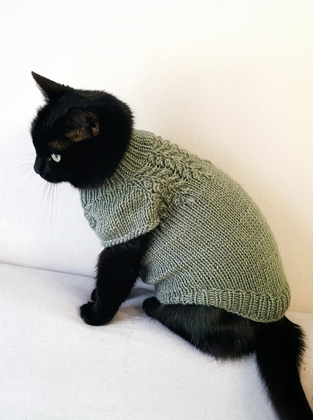 猫毛衣 宠物针织毛衣 手工编织 狗狗毛衣 猫毛衣 - 衣/帽 - 羊毛 