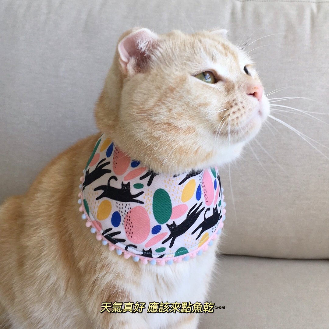 【恰氏手作】黑猫运动会宠物围兜兜蝴蝶结宠物领巾项圈猫咪狗狗 - 项圈/牵绳 - 棉．麻 