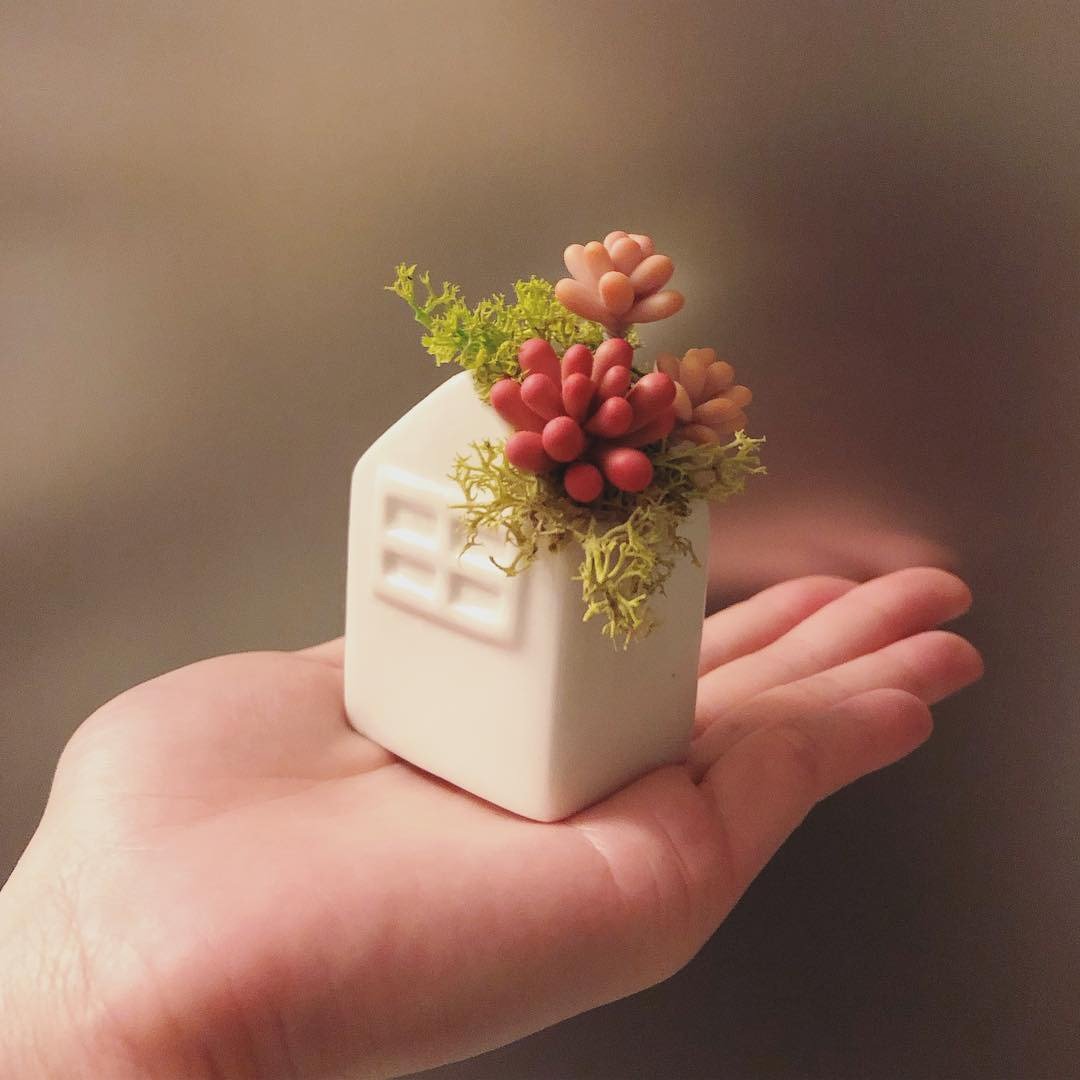 乙女心 桃之卵。仿真黏土多肉植物_小屋造型盆栽 - 摆饰 - 粘土 红色