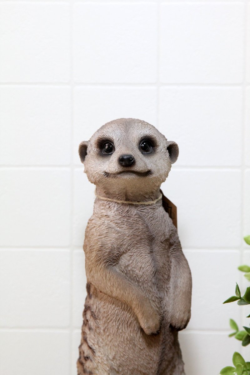 SUSS-日本Magnets拟真动物系列 可爱家饰狐獴造型存钱筒-现货 - 其他 - 其他材质 卡其色