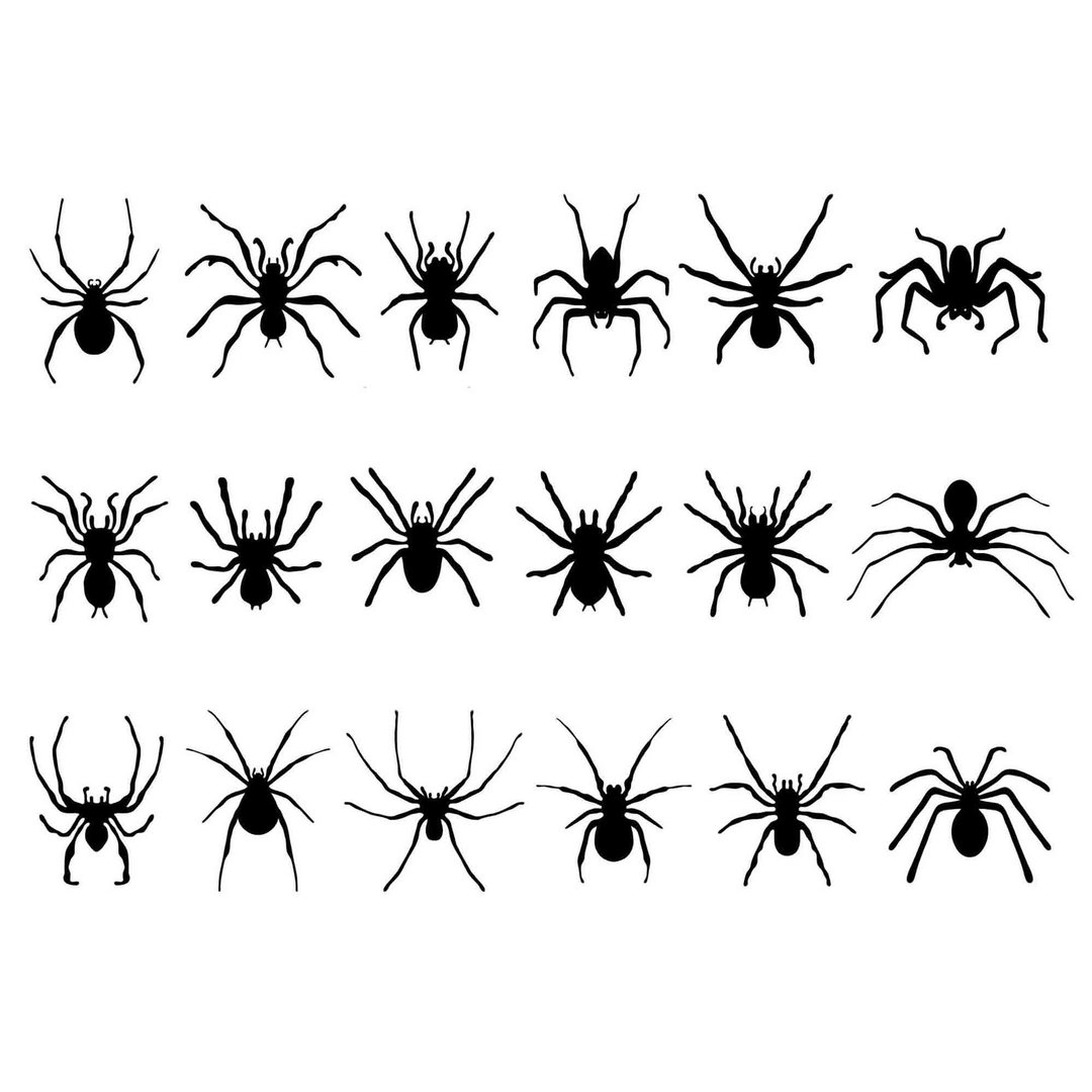 Spider svg, spiders svg, spider eps, spider template, spider png, spiders png - 图文模板设计 - 其他材质 