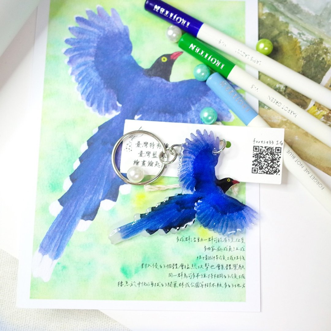 台湾特有种 台湾蓝鹊 绘画钥匙圈 - 钥匙链/钥匙包 - 防水材质 蓝色