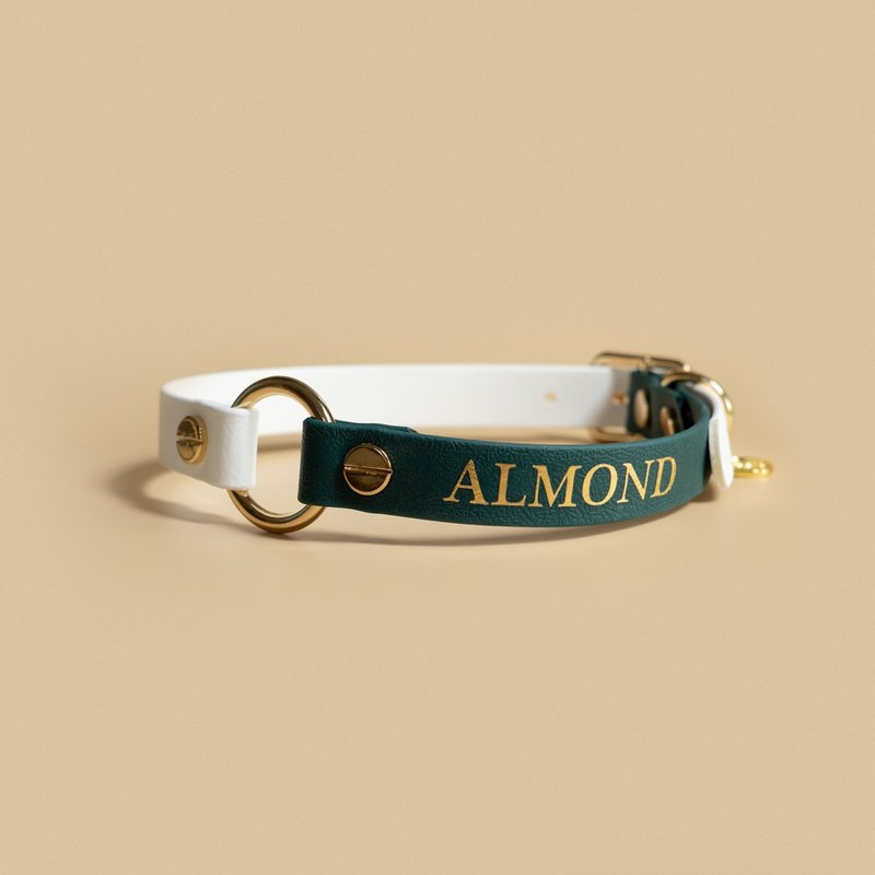 Add a name (only choose this if you purchase other product) - 项圈/牵绳 - 其他材质 多色