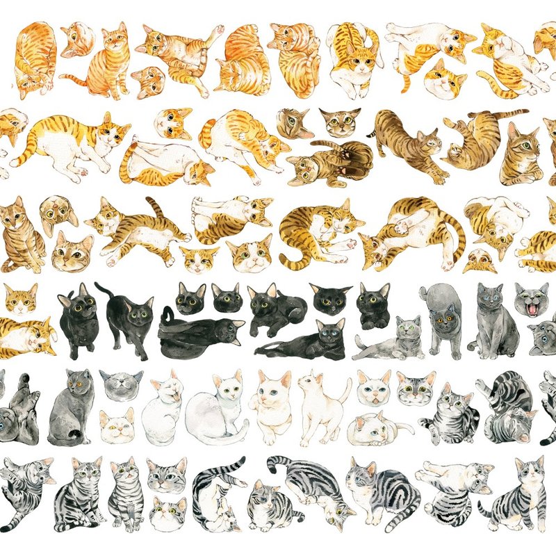猫猫大集合- (CAT A) PET版 - 纸胶带 - 塑料 