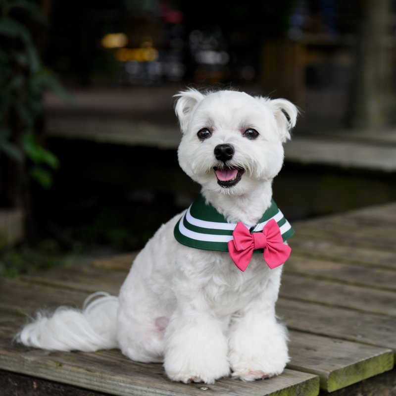 萌少女战士水手领 - 木星 **两种穿搭、附蝴蝶结或水手结** - 衣/帽 - 棉．麻 绿色