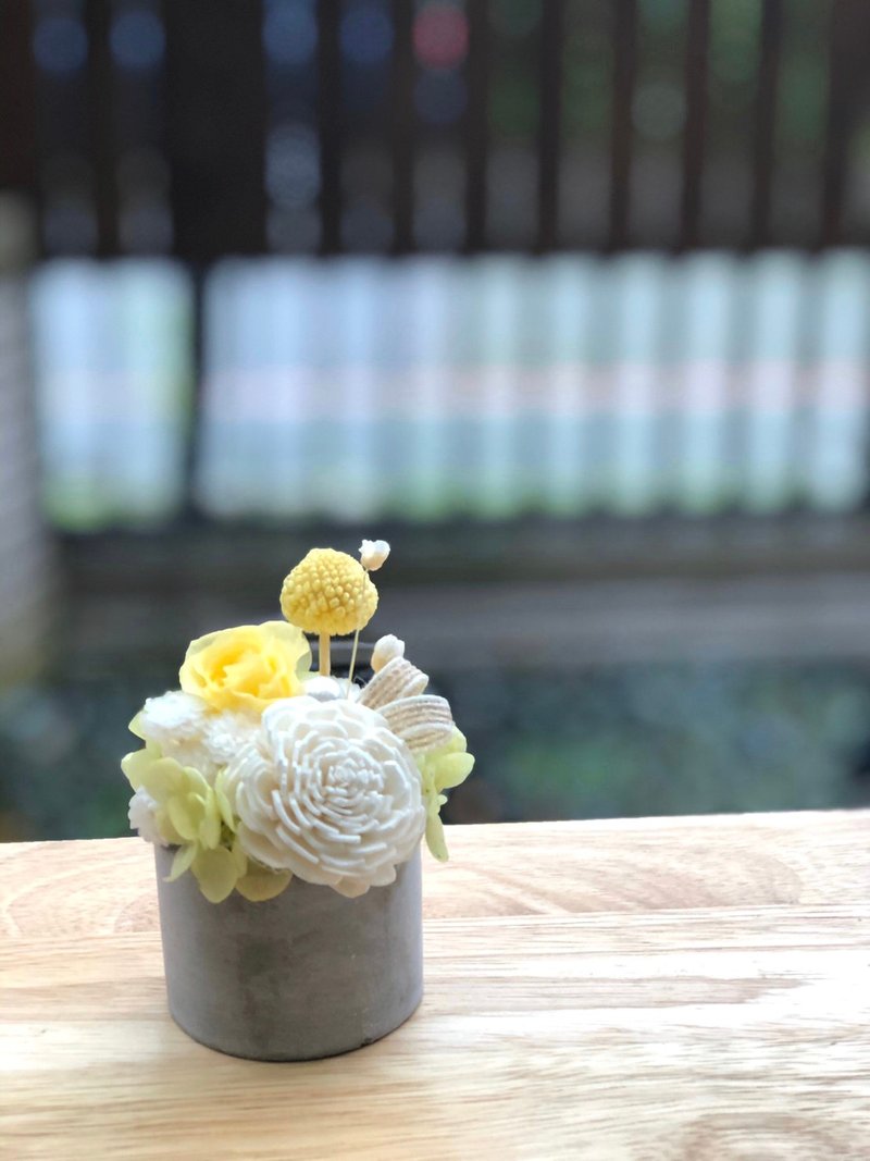 Hello  不凋花 永生花 小花盅礼盒组 姊妹礼物 - 干燥花/捧花 - 植物．花 多色