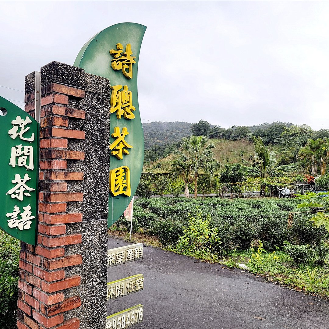 【快速出货】宜兰冬山-花间茶语-精选一级原片茶叶 - 茶 - 植物．花 卡其色