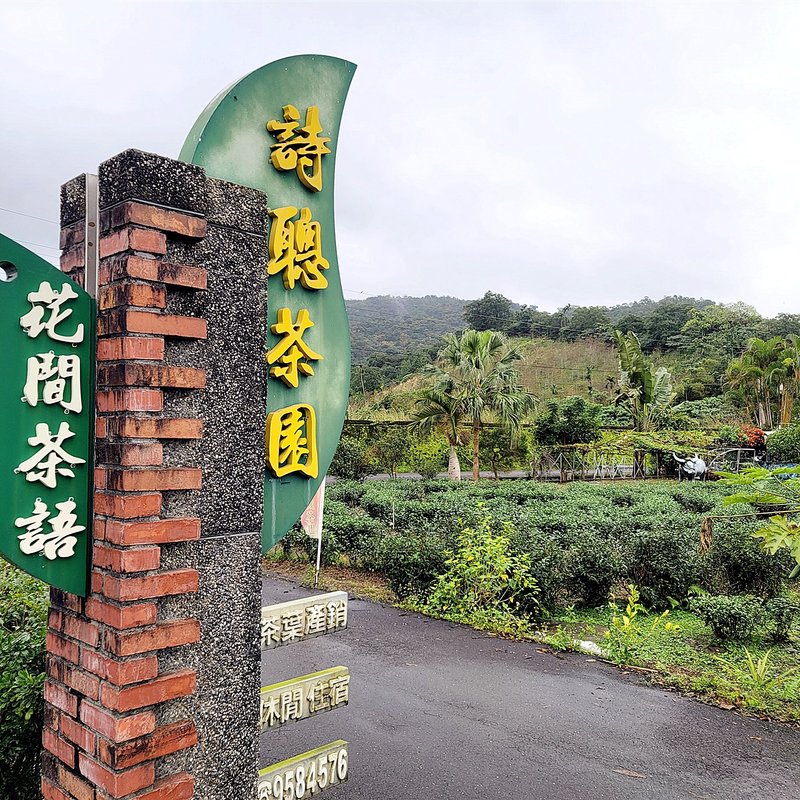 【快速出货】宜兰冬山-花间茶语-精选一级原片茶叶 - 茶 - 植物．花 卡其色