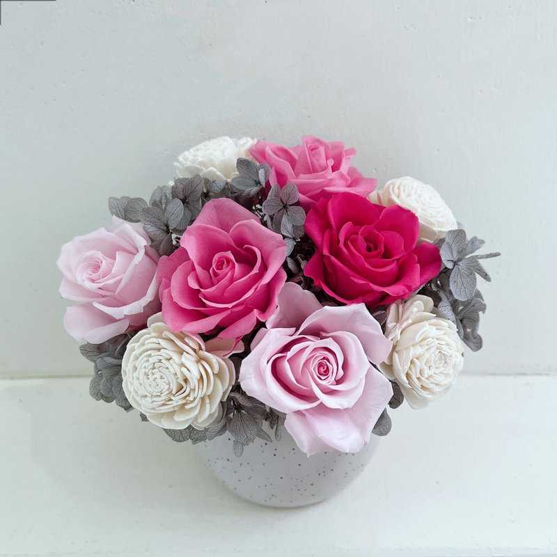 【维拉花艺】永生花盆花 开幕盆花 生日盆花 - 干燥花/捧花 - 植物．花 