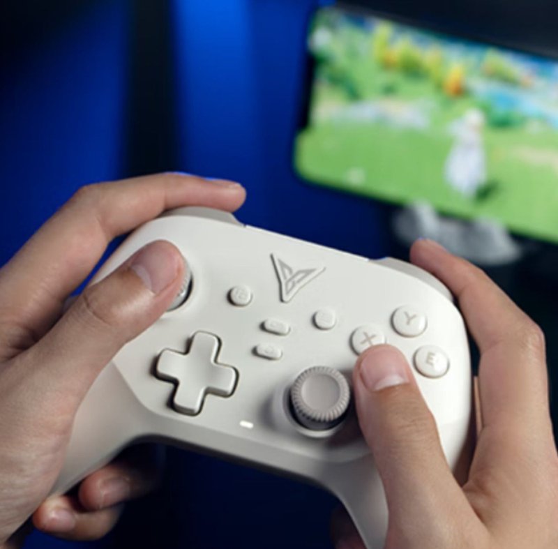 Flydigi Dune Fox 三模无线游戏控制器 - 电脑配件 - 聚酯纤维 