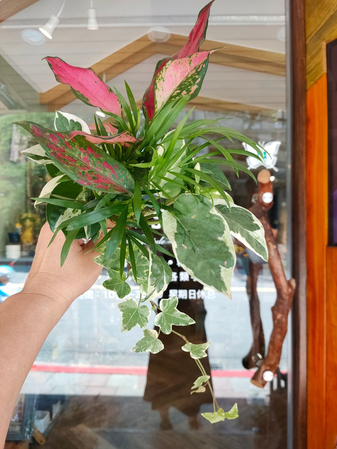 水耕植物花束(12岁以上皆可) - 植栽 - 其他材质 