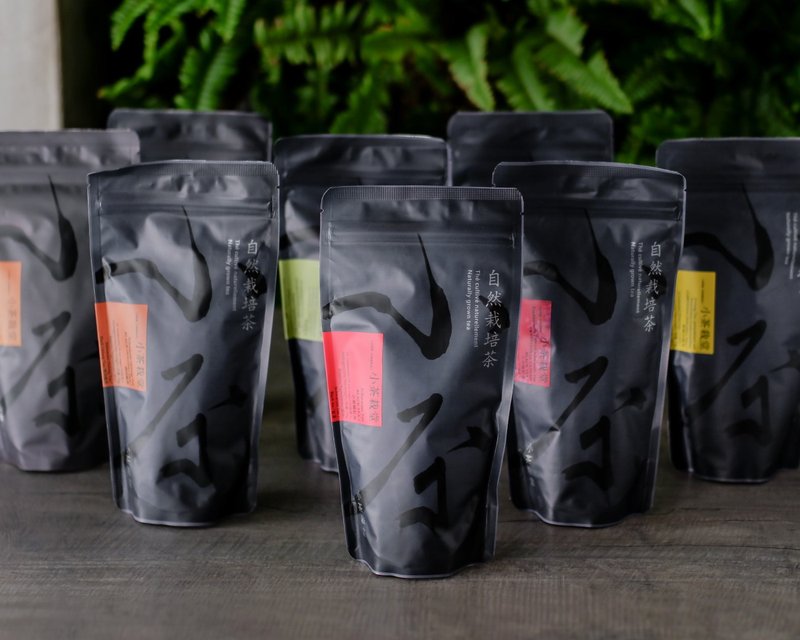 【组合包】袋茶补充包 5包组(125入茶包) - 茶 - 新鲜食材 黑色