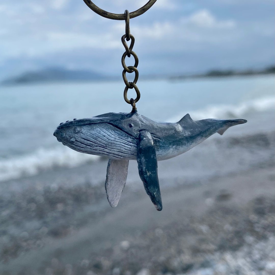 海洋生物 大翅鲸 钥匙圈 - 钥匙链/钥匙包 - 粘土 