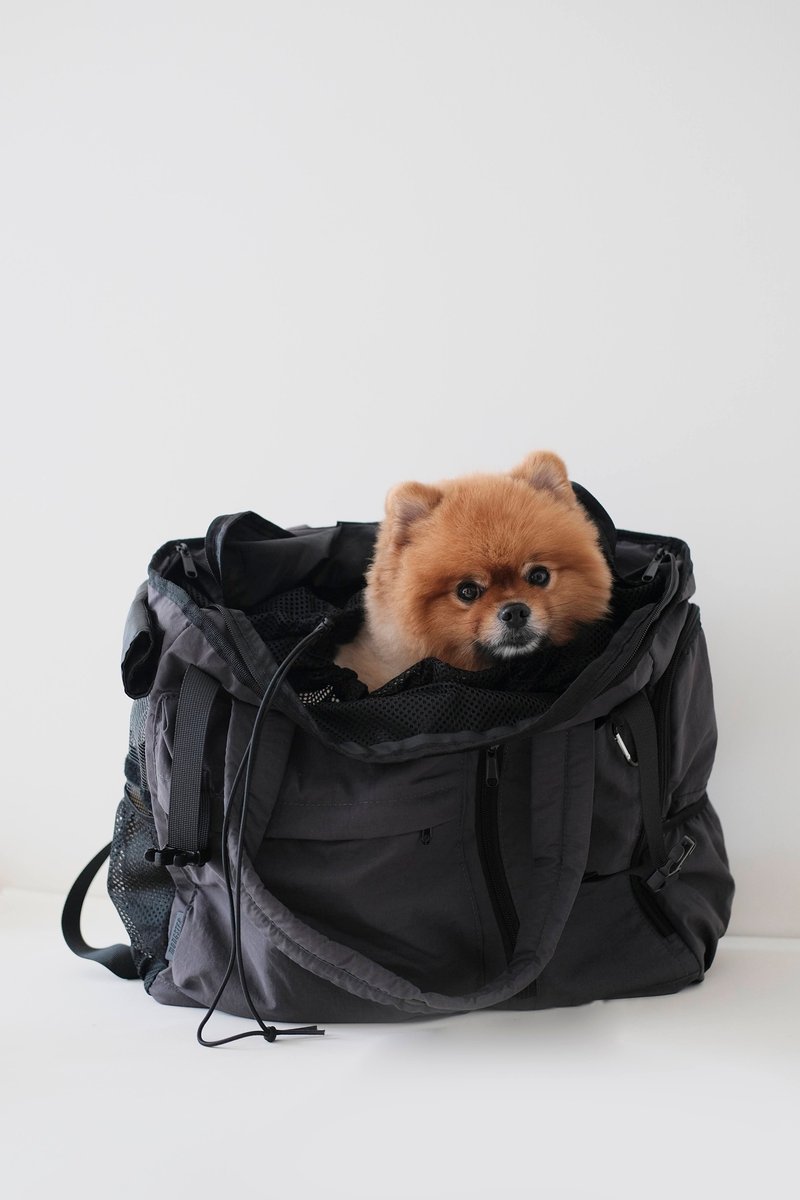 Buddy Pack 超轻便宠物背包 2合1 侧背袋 - 深灰色 - 外出包 - 尼龙 灰色