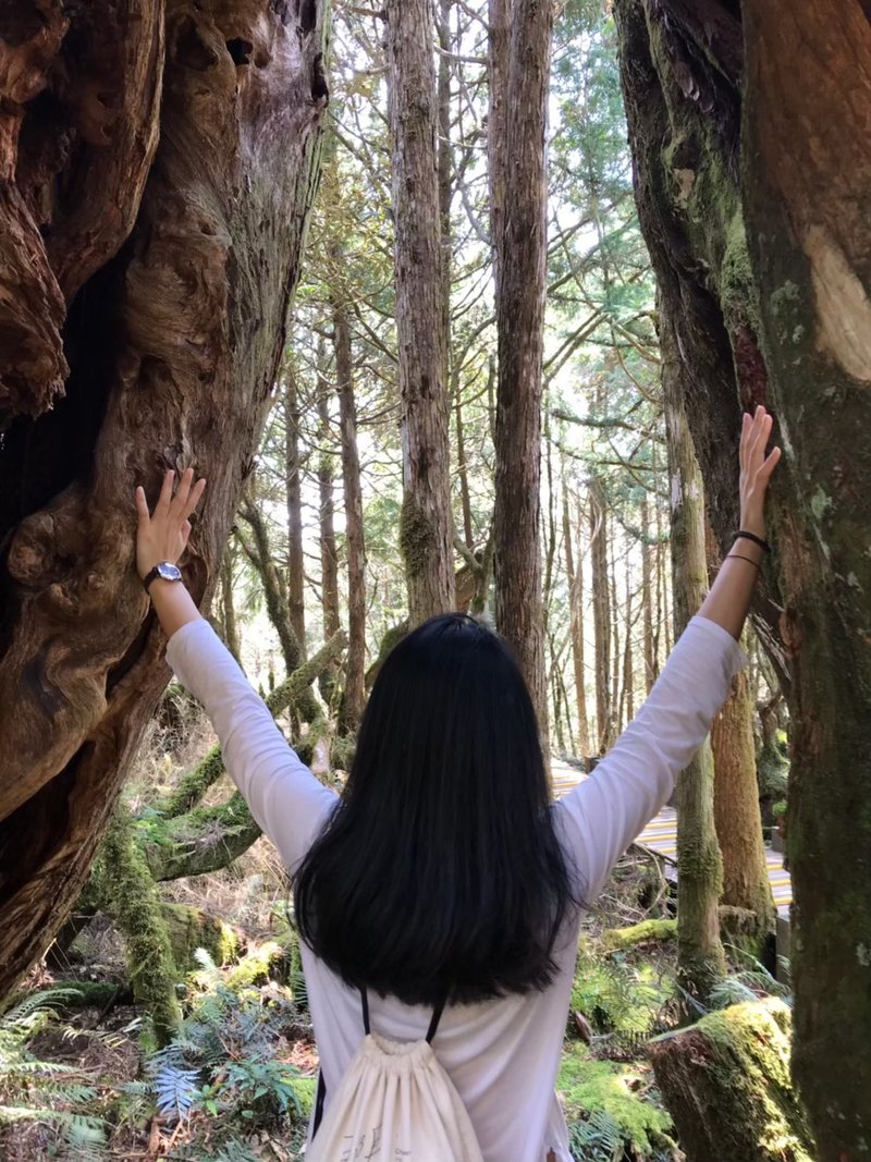 【定制化地点、时间】美国沉浸式自然与森林疗愈漫步体验 - 户外/室内活动 - 其他材质 