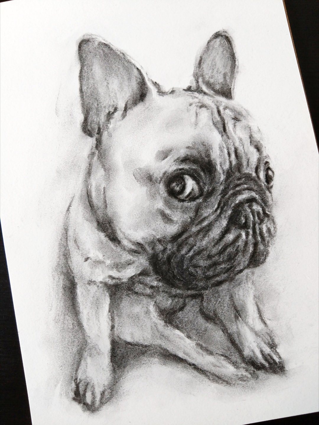 手绘炭笔画狗仔似颜绘 宠物画 连框 - 订制画像 - 纸 白色