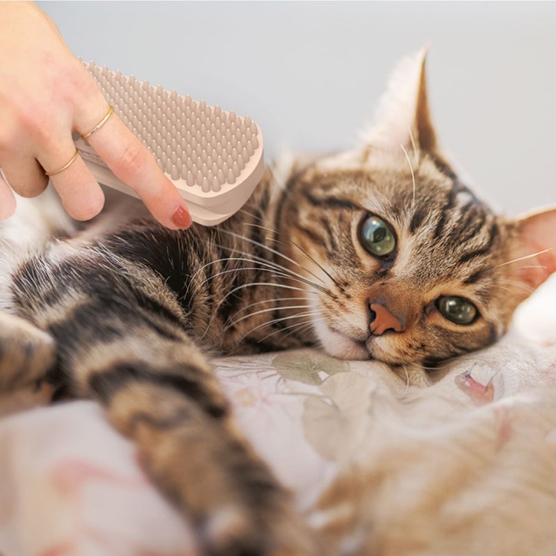 【日本DoggyMan】轻松在家为您的宠物做美容 ! BS系列梳理工具 - 其他 - 其他材质 