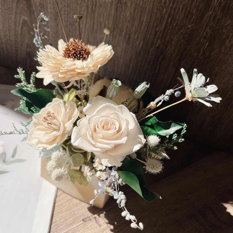 【J个送礼】永生干燥盆花/乔迁花礼/定制盆花/毕业礼物/向日葵 - 干燥花/捧花 - 植物．花 绿色