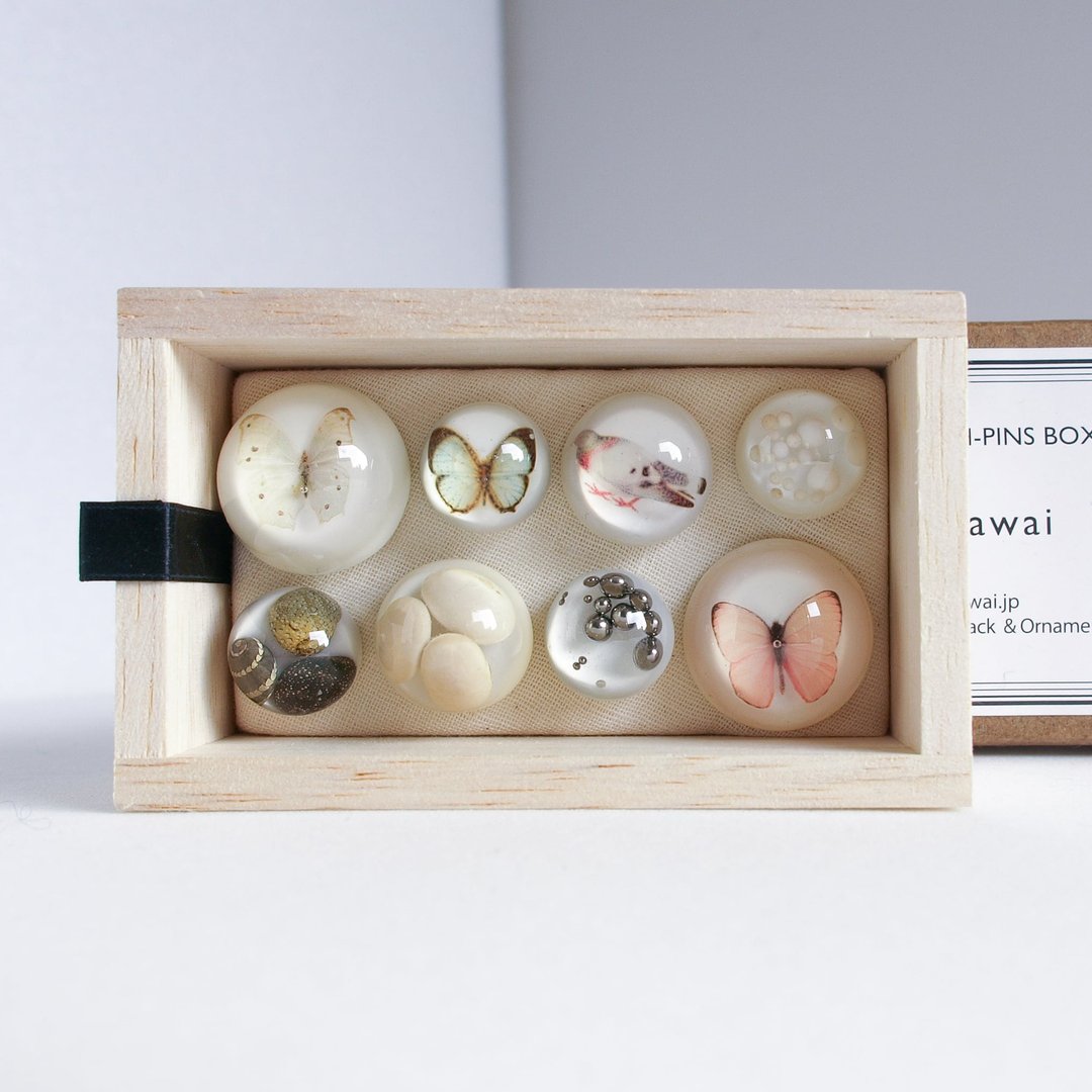 Pushpins like a specimen - 其他 - 树脂 咖啡色