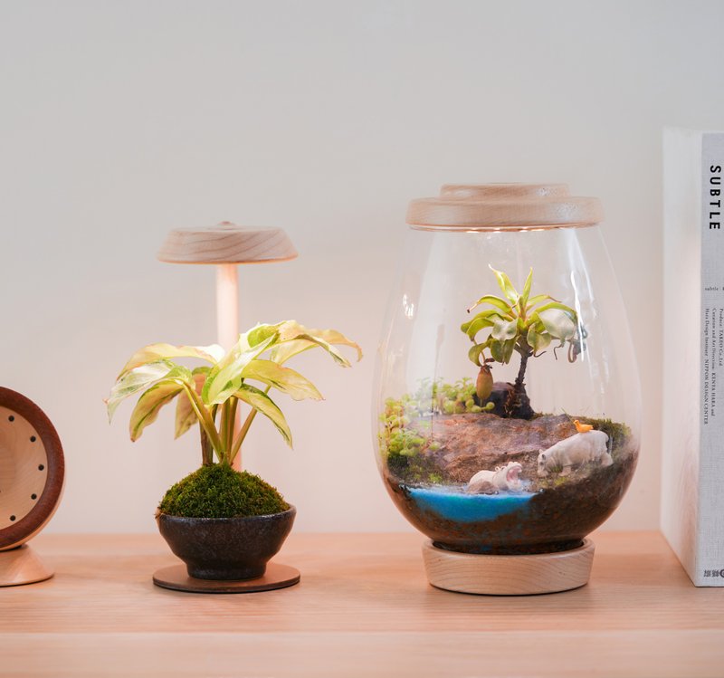 【全光谱 植物灯】不含植物 拟太阳光 圆台植物灯一般款 | 莳光 - 植栽/盆栽 - 木头 