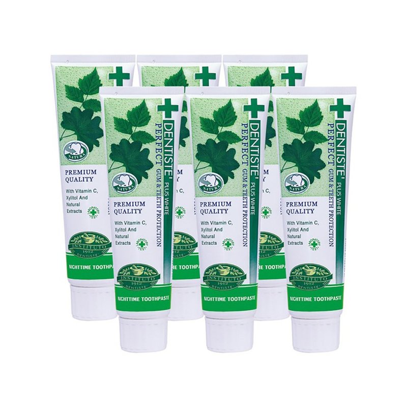 DENTISTE'牙医选夜用牙膏100g (6入组) - 牙刷/口腔清洁 - 其他材质 