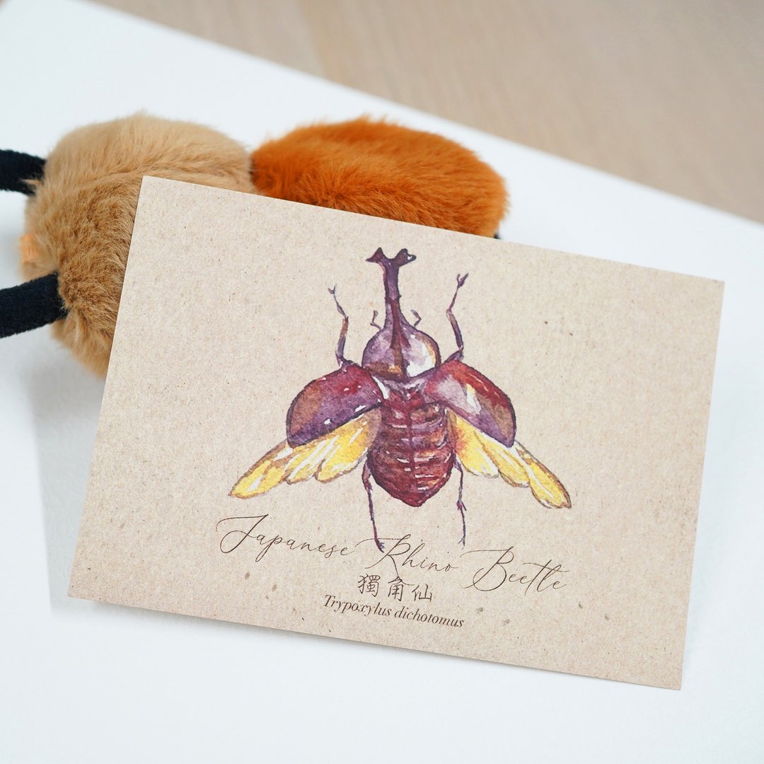 【甲虫先生 - 独角仙】水彩插画 明信片 昆虫 自然 兜虫 - 卡片/明信片 - 纸 咖啡色