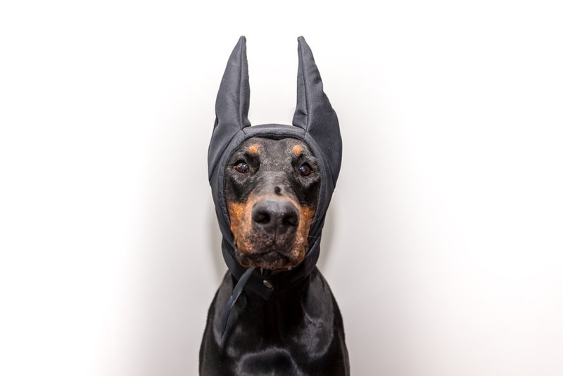 Black Doberman Winter Hat Doberman Warmer Pitbull Hat Doberman Winter Snood Dog - 衣/帽 - 尼龙 黑色