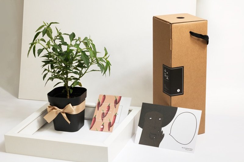 鹰の爪朝天椒礼物盒 - 植栽/盆栽 - 植物．花 