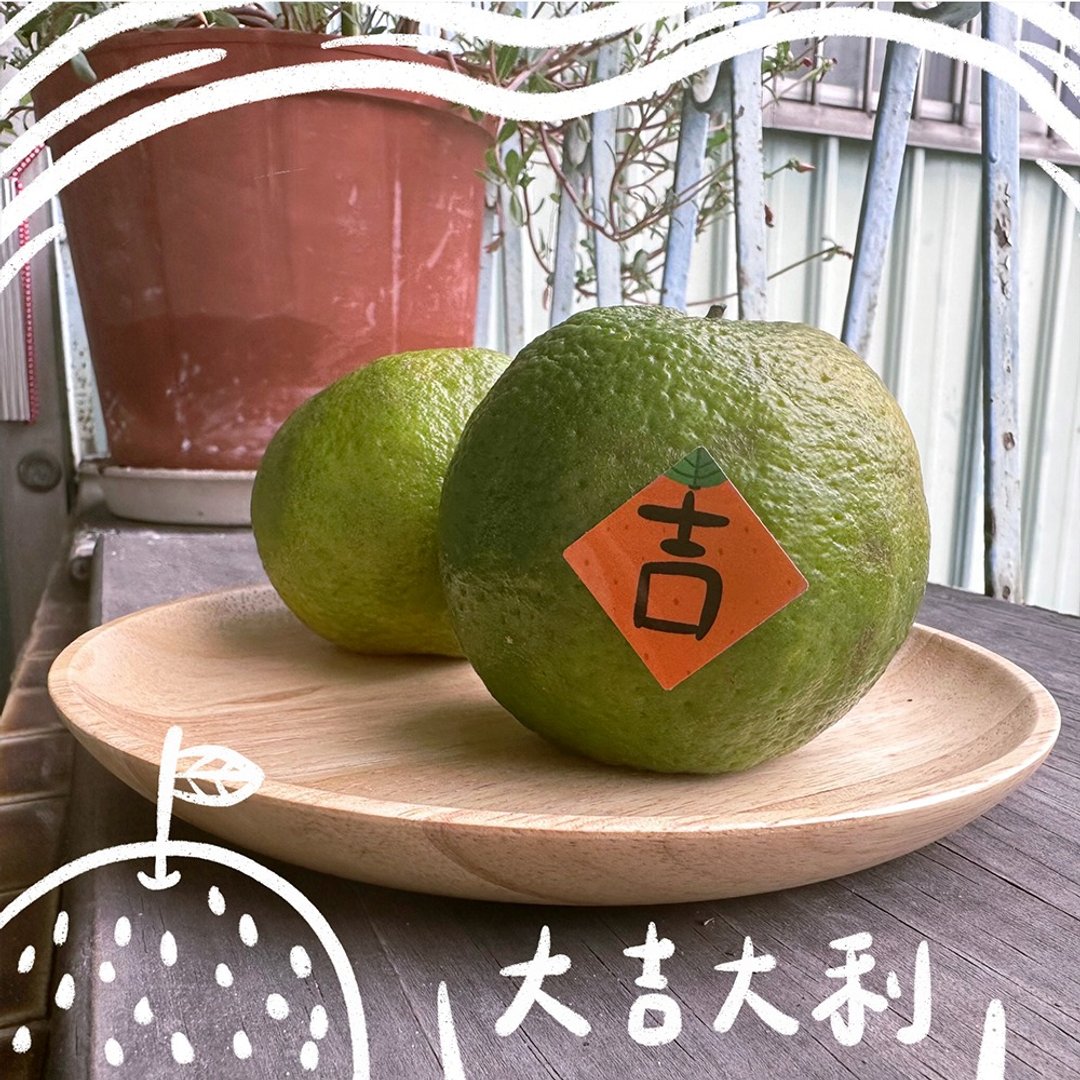 马年春联 2026 新年贴纸 春 旺 福 财 吉 入厝贴纸  | 我不会圾计 - 红包/春联 - 纸 