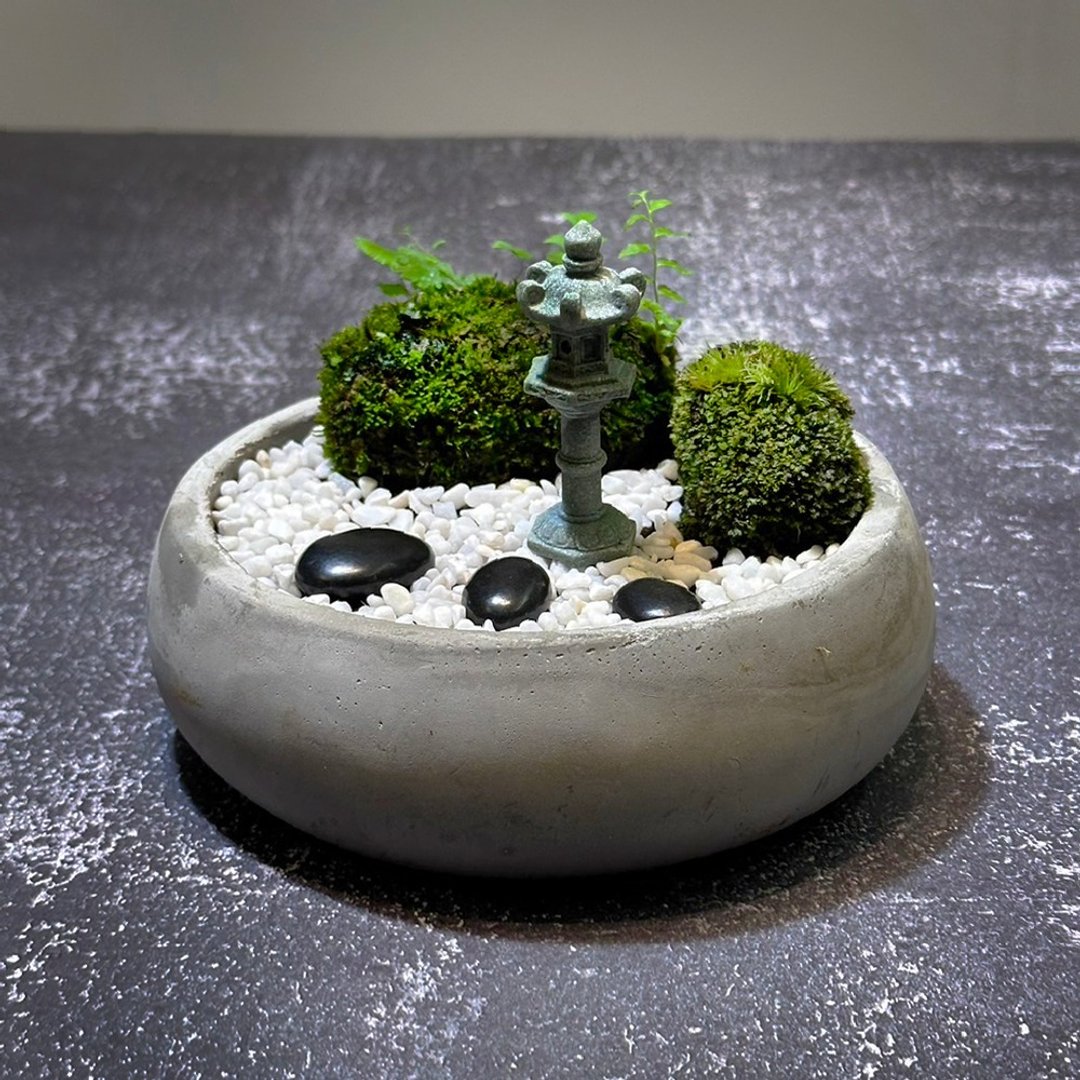 自然苔玉美学 –晚灯 - 植栽/盆栽 - 植物．花 