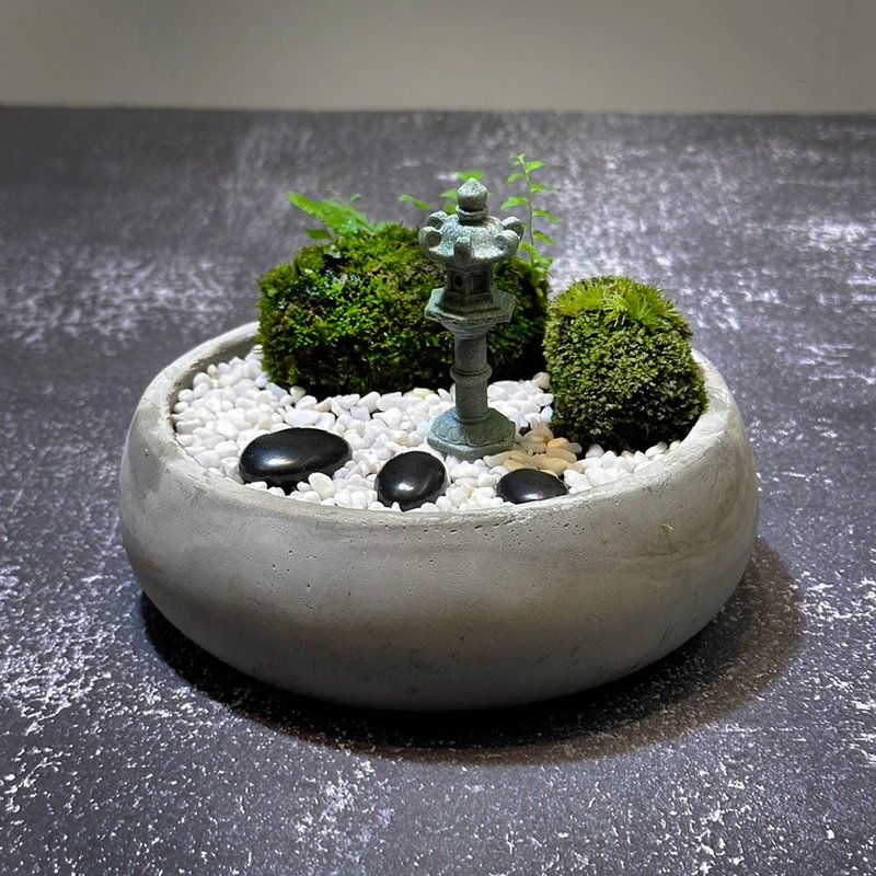 自然苔玉美学 –晚灯 - 植栽/盆栽 - 植物．花 